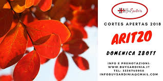 AVVISO PUBBLICO CORTES APERTAS ARITZO IN BARBAGIA ANNUALITA' 2018